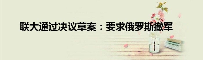 联大通过决议草案：要求俄罗斯撤军