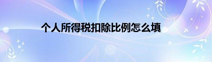 个人所得税扣除比例怎么填