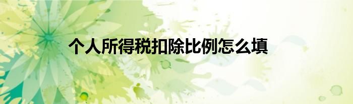 个人所得税扣除比例怎么填