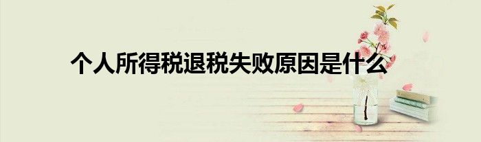 个人所得税退税失败原因是什么