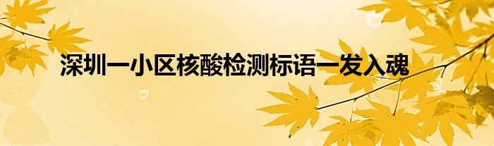深圳一小区核酸检测标语一发入魂