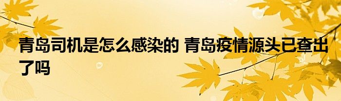 青岛司机是怎么感染的 青岛疫情源头已查出了吗