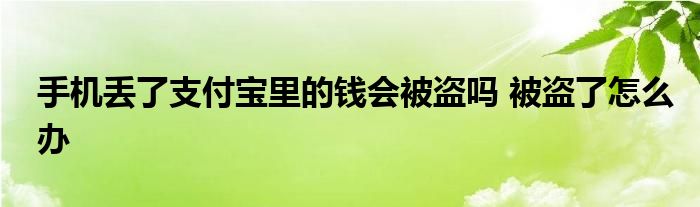 手机丢了支付宝里的钱会被盗吗 被盗了怎么办