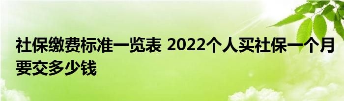 社保缴费标准一览表 2022个人买社保一个月要交多少钱