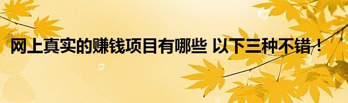 网上真实的赚钱项目有哪些 以下三种不错！