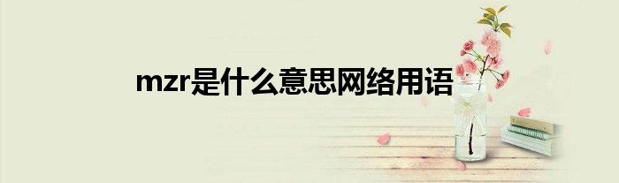mzr是什么意思网络用语