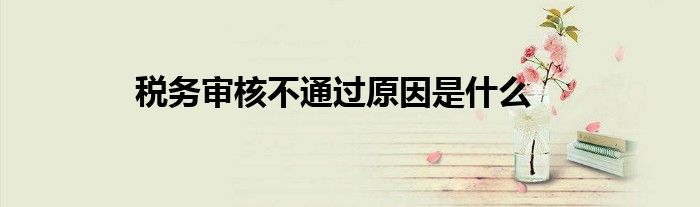 税务审核不通过原因是什么