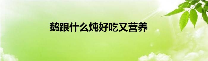 鹅跟什么炖好吃又营养