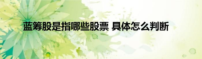 蓝筹股是指哪些股票 具体怎么判断