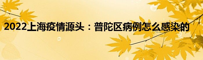 2022上海疫情源头：普陀区病例怎么感染的