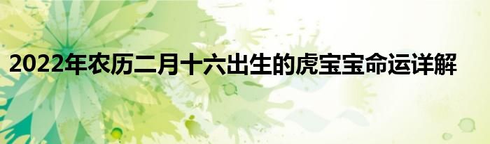 22年农历二月十六出生的虎宝宝命运详解 生物科学网