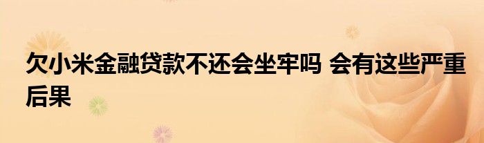 欠小米金融贷款不还会坐牢吗 会有这些严重后果
