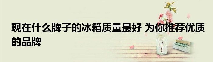 现在什么牌子的冰箱质量最好 为你推荐优质的品牌