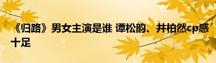 《归路》男女主演是谁 谭松韵、井柏然cp感十足