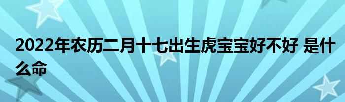 2022年农历二月十七出生虎宝宝好不好 是什么命