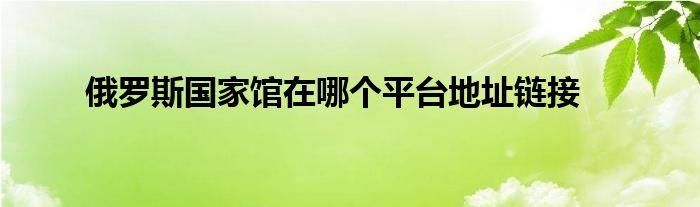 俄罗斯国家馆在哪个平台地址链接