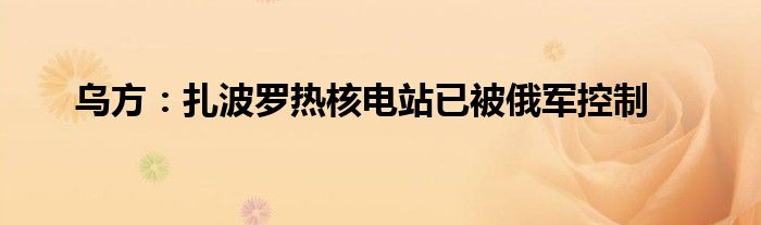 乌方：扎波罗热核电站已被俄军控制