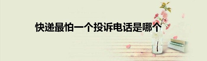 快递最怕一个投诉电话是哪个