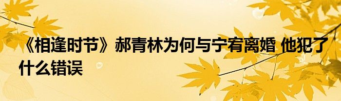 《相逢时节》郝青林为何与宁宥离婚 他犯了什么错误