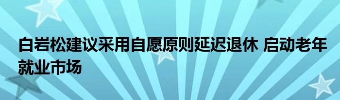 白岩松建议采用自愿原则延迟退休 启动老年就业市场