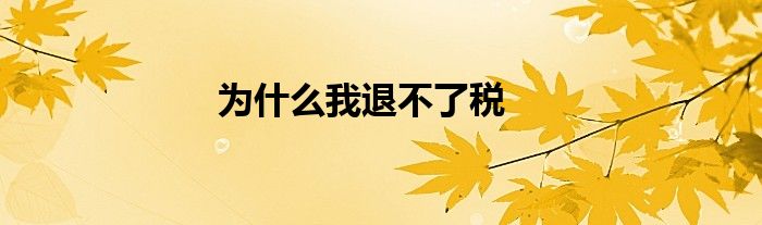 为什么我退不了税