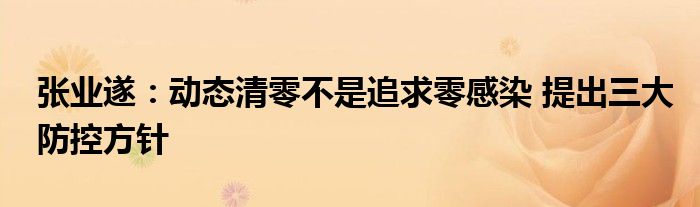 张业遂：动态清零不是追求零感染 提出三大防控方针