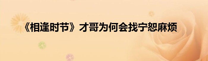 《相逢时节》才哥为何会找宁恕麻烦