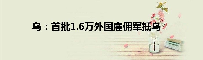 乌：首批1.6万外国雇佣军抵乌