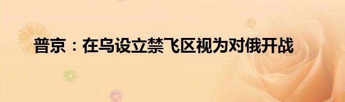 普京：在乌设立禁飞区视为对俄开战