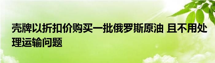 壳牌以折扣价购买一批俄罗斯原油 且不用处理运输问题