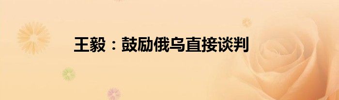 王毅：鼓励俄乌直接谈判