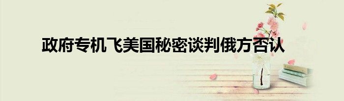 政府专机飞美国秘密谈判俄方否认