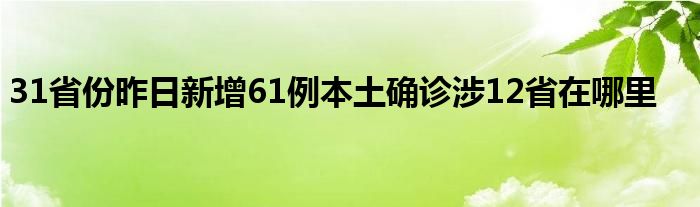 31省份昨日新增61例本土确诊涉12省在哪里