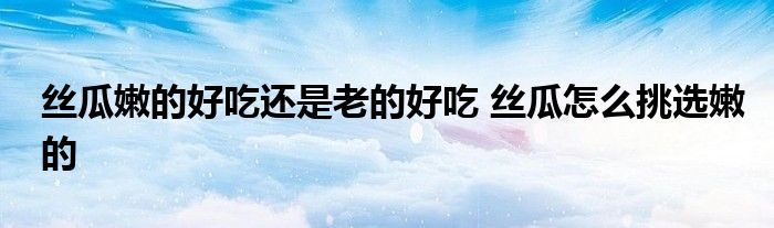 丝瓜嫩的好吃还是老的好吃 丝瓜怎么挑选嫩的