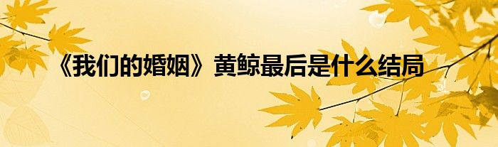 《我们的婚姻》黄鲸最后是什么结局