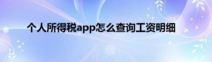 个人所得税app怎么查询工资明细