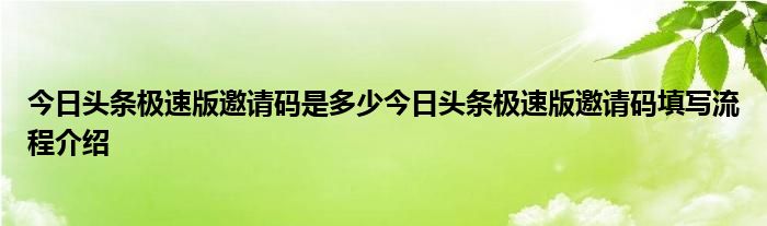 今日头条极速版邀请码是多少今日头条极速版邀请码填写流程介绍