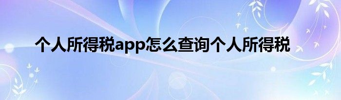 个人所得税app怎么查询个人所得税
