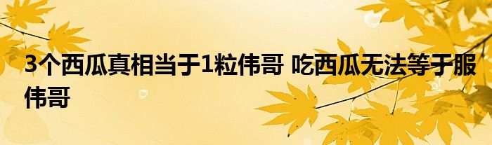 3个西瓜真相当于1粒伟哥 吃西瓜无法等于服伟哥