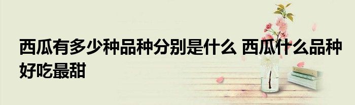 西瓜有多少种品种分别是什么 西瓜什么品种好吃最甜