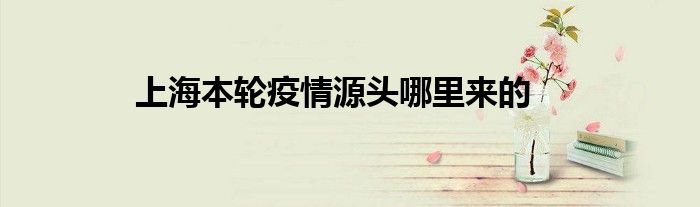 上海本轮疫情源头哪里来的