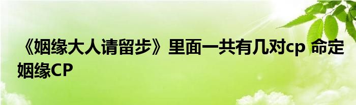《姻缘大人请留步》里面一共有几对cp 命定姻缘CP