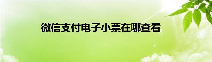 微信支付电子小票在哪查看