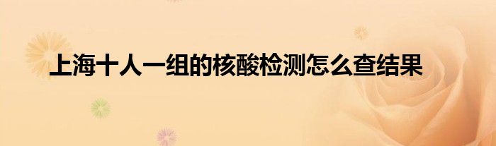 上海十人一组的核酸检测怎么查结果
