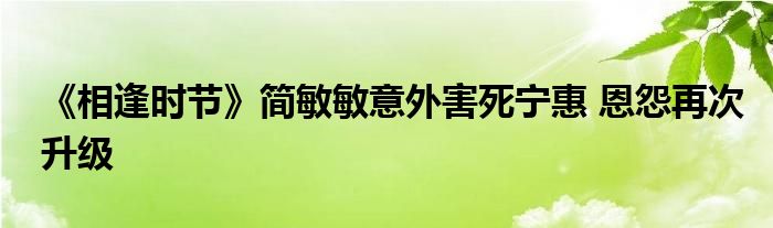 《相逢时节》简敏敏意外害死宁惠 恩怨再次升级