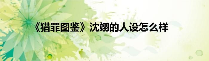 《猎罪图鉴》沈翊的人设怎么样