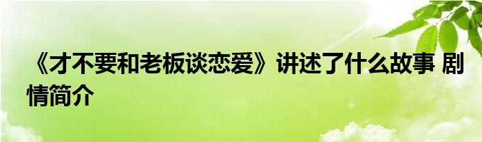 《才不要和老板谈恋爱》讲述了什么故事 剧情简介