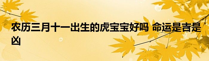 农历三月十一出生的虎宝宝好吗 命运是吉是凶
