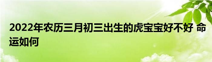 2022年农历三月初三出生的虎宝宝好不好 命运如何