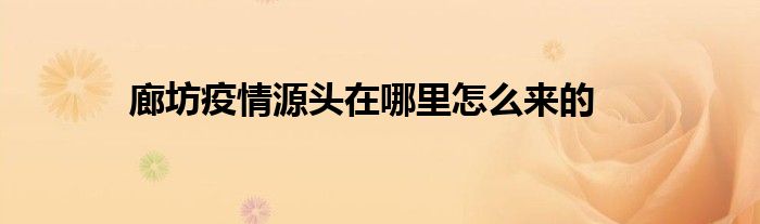 廊坊疫情源头在哪里怎么来的